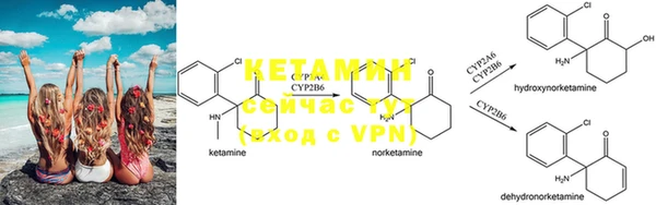 PSILOCYBIN Аркадак