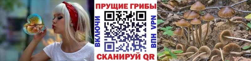 продажа наркотиков  Миньяр  Галлюциногенные грибы Magic Shrooms 