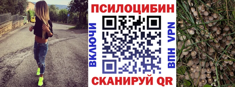 Галлюциногенные грибы мицелий Миньяр